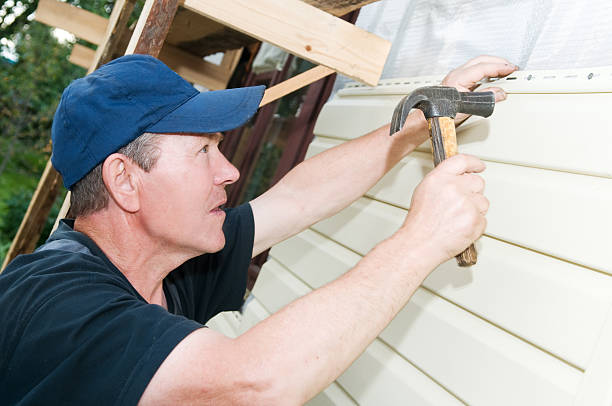 Best Insulated Siding Installation  in Agoura Hills, CA
