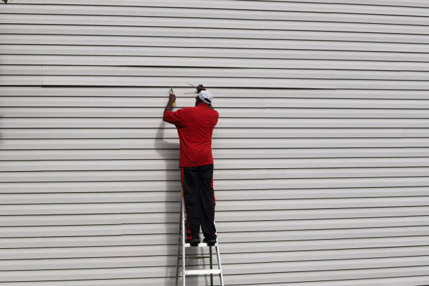 Best Stone Veneer Siding  in Agoura Hills, CA