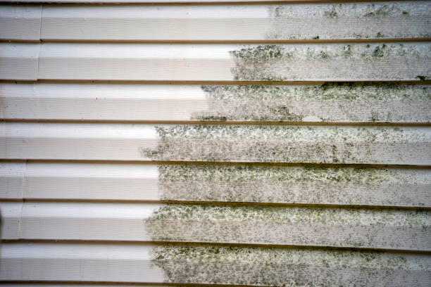Siding for Multi-Family Homes in Agoura Hills, CA