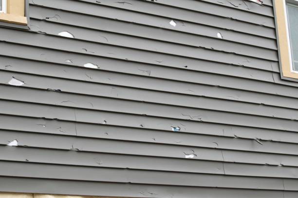Best Siding for New Construction  in Agoura Hills, CA