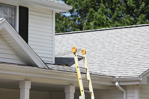 Best Siding Removal and Disposal  in Agoura Hills, CA
